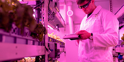 Engineering Council interim registration